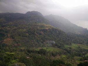 Nuwara Eliya